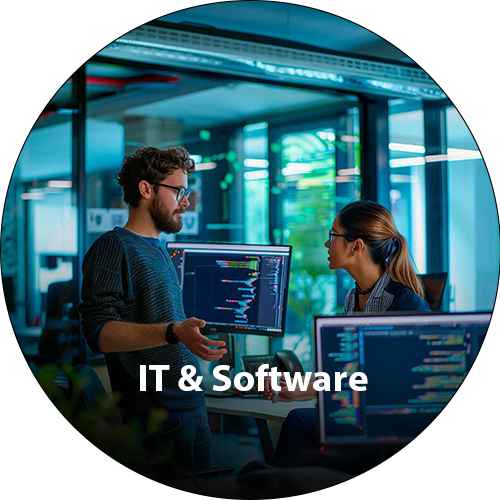 IT & Software_11zon